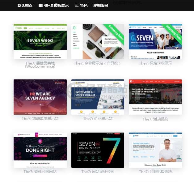 wordpress主题The7_ v9.40可视化建站最新汉化版带秘钥插图 nYbYnm