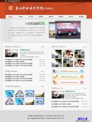 红色职业技术学校网站模板_亿码酷站网站源码下载插图
