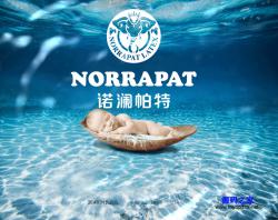 HTML5乳胶枕品牌产品展示专题响应式模板_亿码酷站网站源码下载插图