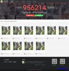HTML5-宠物社区分享网站响应式模板_帝国cms模板插图