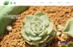 html植物花卉公司响应式网站模板_亿码酷站网站源码下载插图