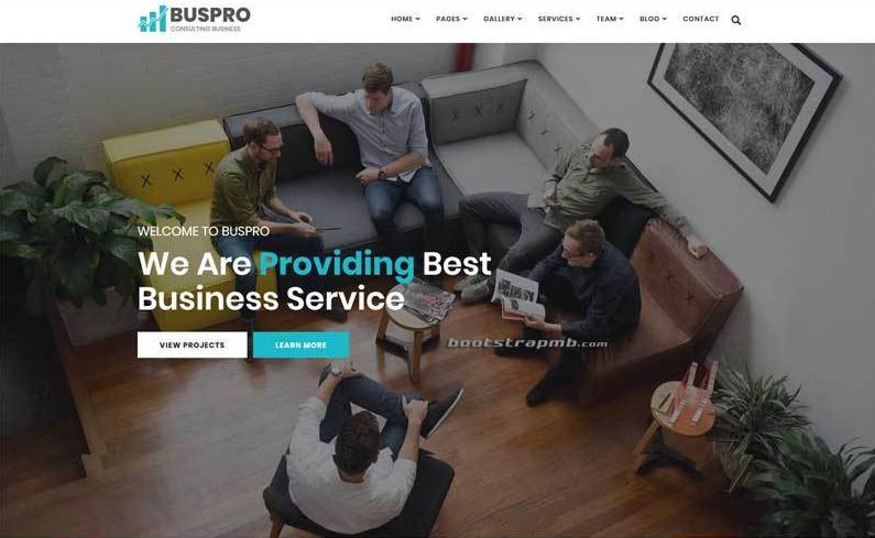 Bootstrap商业保险公司网站模板_亿码酷站插图