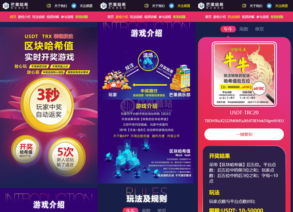 哈希值竞猜源码纯合约的返奖源码插图 哈希值竞猜源码纯合约的返奖源码插图