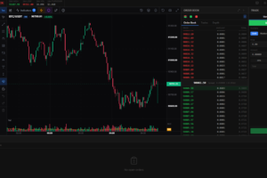 Bicrypto 6.0.5 加密货币交易所源码下载|支持现货、二元期权与 KYC 的完整交易系统插图3 Bicrypto 6.0.5 加密货币交易所源码下载|支持现货、二元期权与 KYC 的完整交易系统插图3